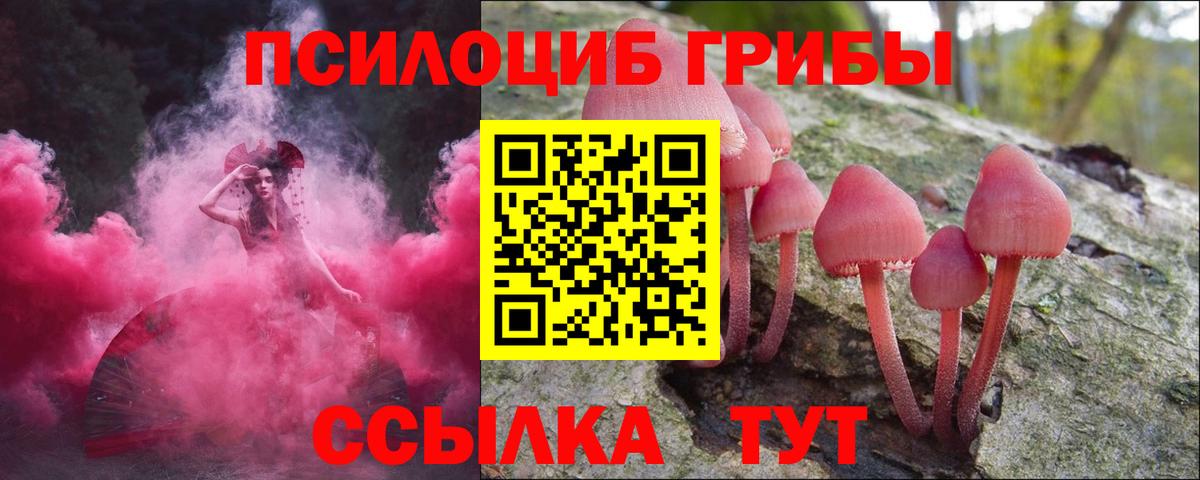 Карпинск  Галлюциногенные грибы мухоморы  Вход с VPN 